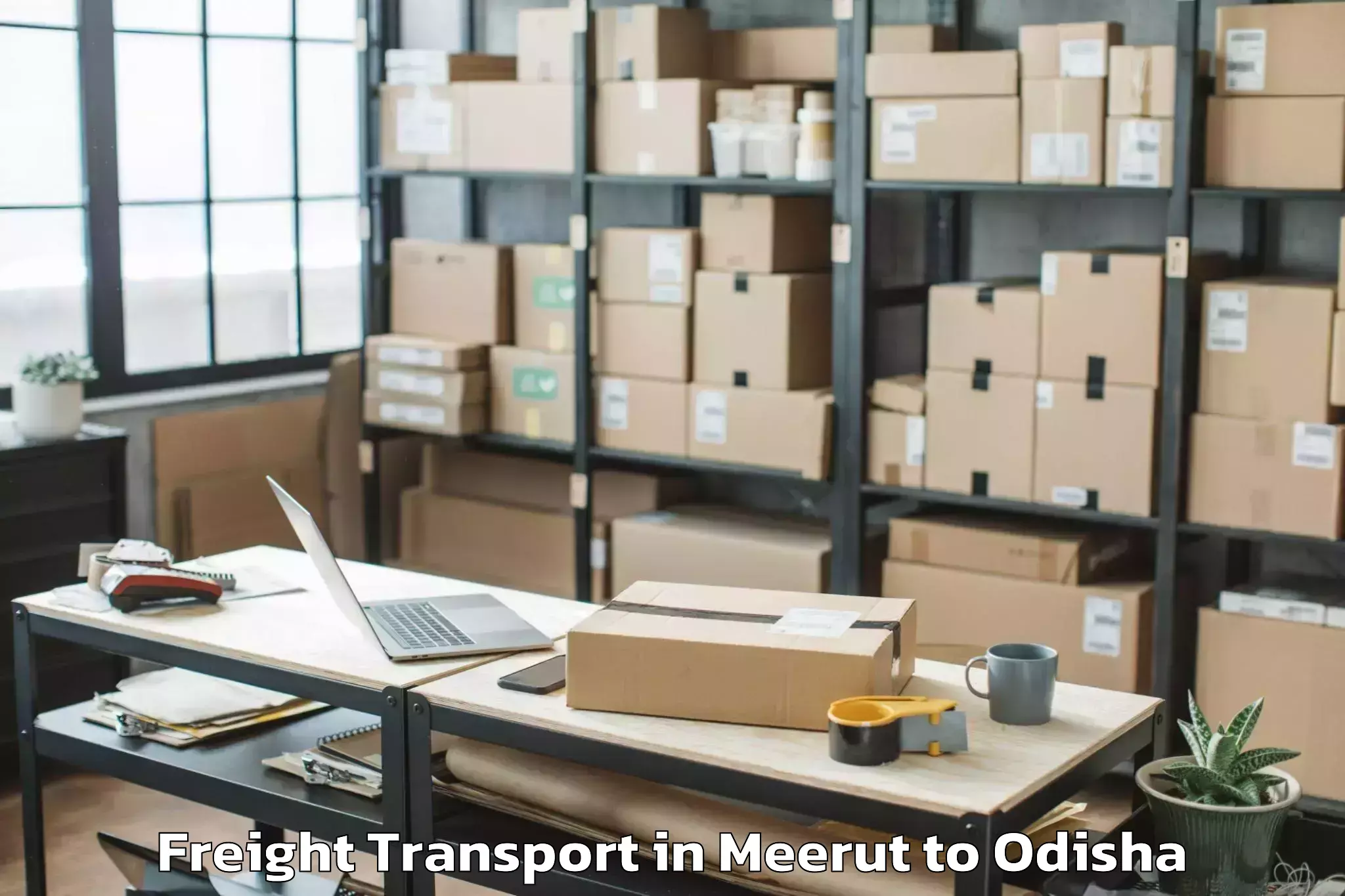 Top Meerut to Burla Freight Transport Available